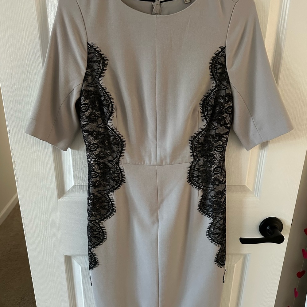The Limited Women’s Dress Grey with Black Lace